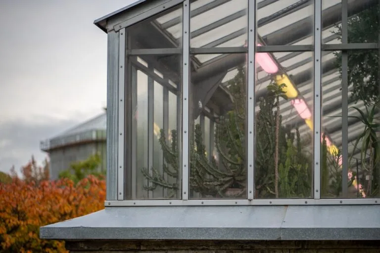 Glasshouse,With,Plants,,Trees,Illuminated,By,Grow,Phyto,Lamp.,View